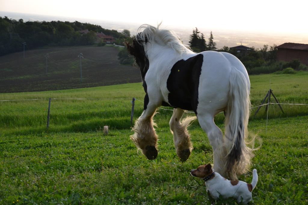 B&B Cà Bianca dell'Abbadessa San Lazzaro di Savena Extérieur photo