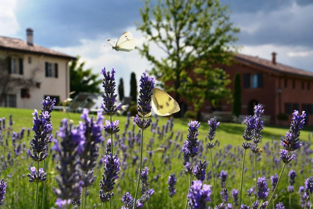 B&B Cà Bianca dell'Abbadessa San Lazzaro di Savena Extérieur photo