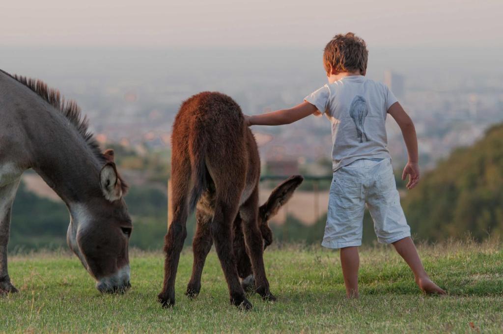B&B Cà Bianca dell'Abbadessa San Lazzaro di Savena Extérieur photo