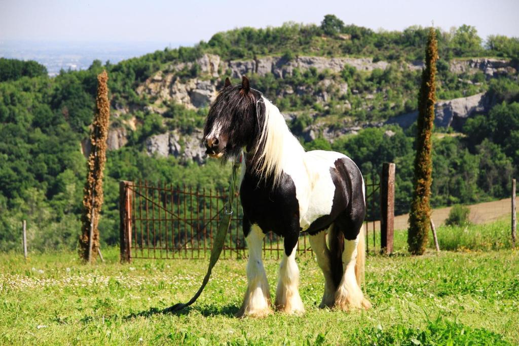 B&B Cà Bianca dell'Abbadessa San Lazzaro di Savena Extérieur photo