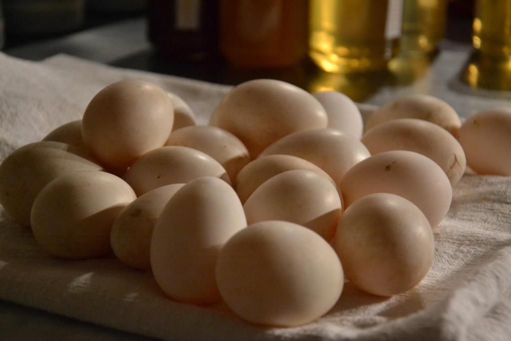 B&B Cà Bianca dell'Abbadessa San Lazzaro di Savena Extérieur photo