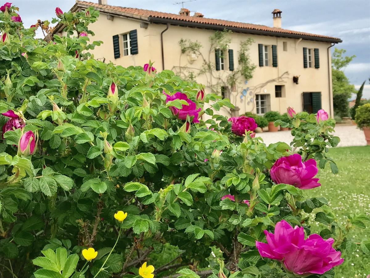B&B Cà Bianca dell'Abbadessa San Lazzaro di Savena Extérieur photo